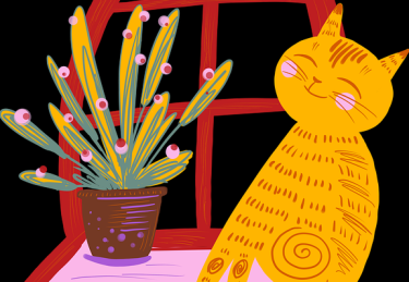 全程记录：91网黑料合集，背后真相曝光，91论坛里面是真的吗