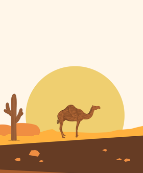 平台使用避坑指南｜aaa永久在线观看使用教程详解，aaa!