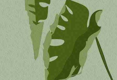 国产探花爆款文案撰写方法｜玩法揭秘