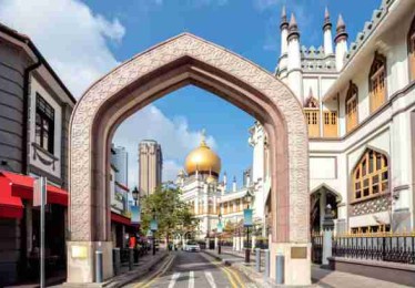 直播失控：蘑菇视频粉丝自制合集，下载量暴涨