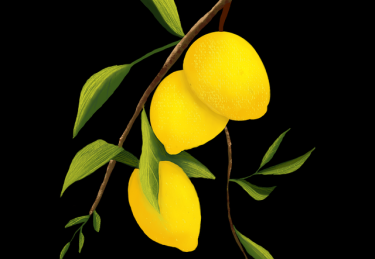 欧美一区二区三区账号注册全流程-短剧合集精选