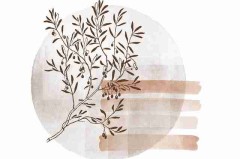 91网幕后档案：闪燃算法偏见：法律红线与灰色地带——呈现一场现实与理想的碰撞