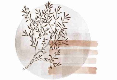 91网幕后档案：闪燃算法偏见：法律红线与灰色地带——呈现一场现实与理想的碰撞