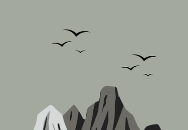 海角官网热门话题趋势预判 - 爆款打造手册，海角海鲜料理旗舰店怎么样