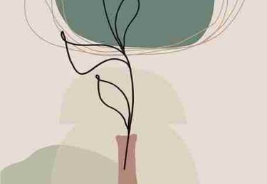 平台规则解读-抖音成人版付费订阅功能详解