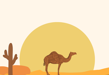 网络疯传：91网争议核心，牵涉广泛人物，91网站指的什么