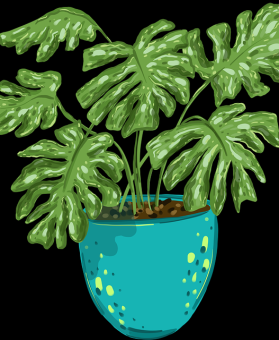 私密泄露：蘑菇视频惊现换装挑战，观众表示难以接受