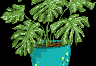 私密泄露：蘑菇视频惊现换装挑战，观众表示难以接受