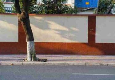 画面冲击：蘑菇视频用户疯狂打赏，主播发声澄清