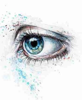 每日大赛规则更新及变化解析 - 选手风采，每日参赛时间怎么刷