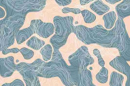 激烈讨论：蘑菇视频偶像私密流出，全平台转发