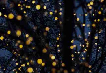 震撼首发：黑料网流出女星私照，业内大V亲自下场