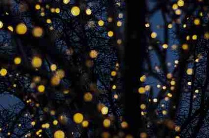 震撼首发：黑料网流出女星私照，业内大V亲自下场