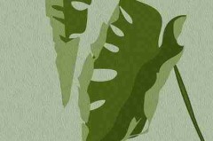 每日大赛选手备赛秘籍 - 内容创新，每日参赛时间怎么刷