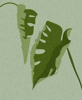 每日大赛选手备赛秘籍 - 内容创新，每日参赛时间怎么刷