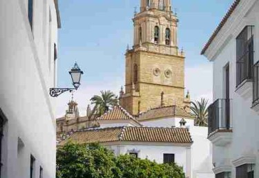 黑料网大事件年度回顾：深度解读