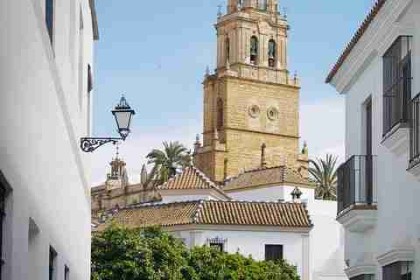 黑料网大事件年度回顾：深度解读