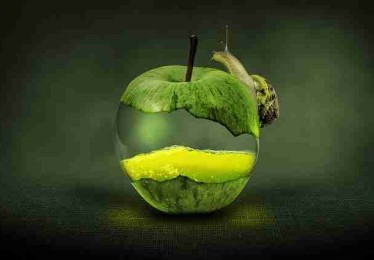 快手成人版短视频流量变现实战-实操指南