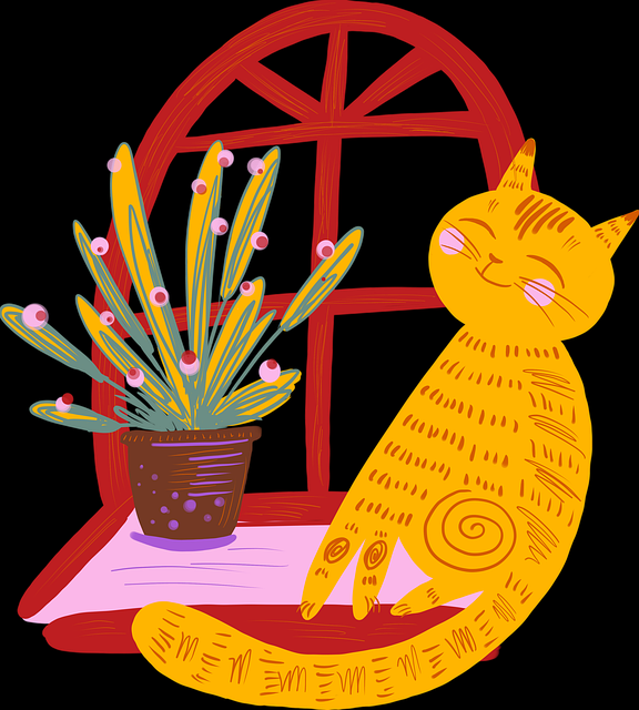 新手入门必读-抖音成人版热门短剧爆款打造流程