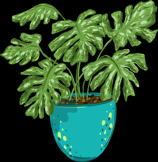 私密泄露:蘑菇视频惊现换装挑战,观众表示难以接受