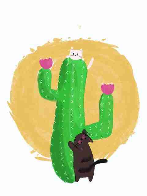 场景1_1搭建:果冻传媒美术预算如何省30%