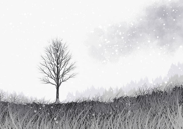 微密圈社群经济发展趋势:新手必读