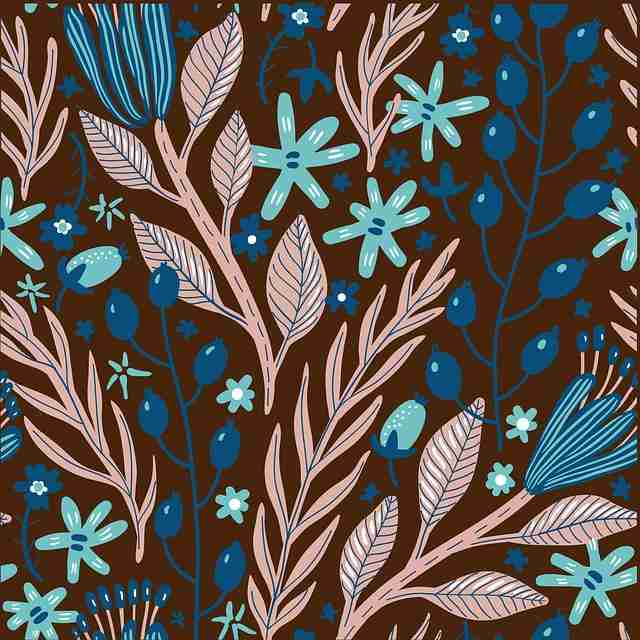 神秘曝光:蘑菇视频全景画质升级,内容引发分级讨论