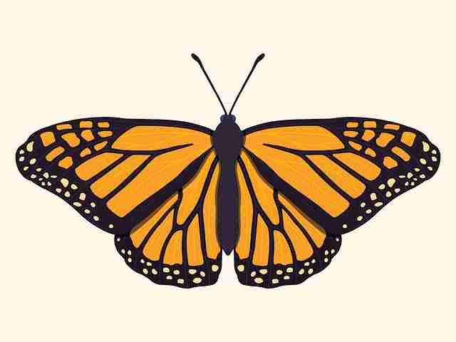 直播失控：蘑菇视频粉丝自制合集，下载量暴涨