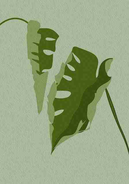 国产自产 1区2区 c账号养成与推广策略 - 内容营销秘籍,国产区_1