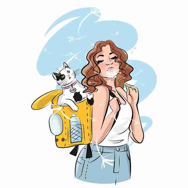 影迷社区推荐-如何在欧美一区二区三区寻找小众佳作?